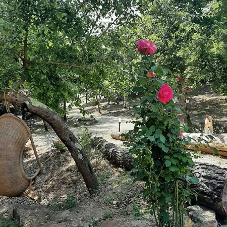 Glamping Serraiola Alta Luxury tent