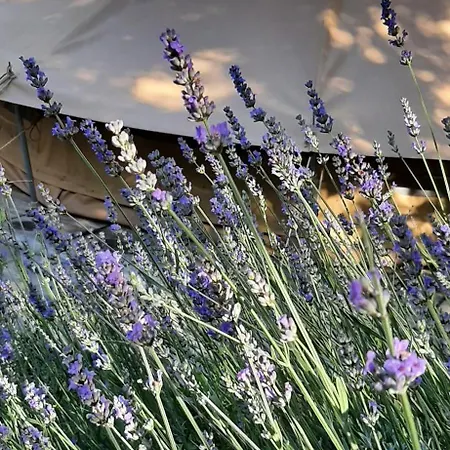 Glamping Serraiola Alta Роскошный шатер *