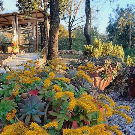 Luxury tent Glamping Serraiola Alta Frassine